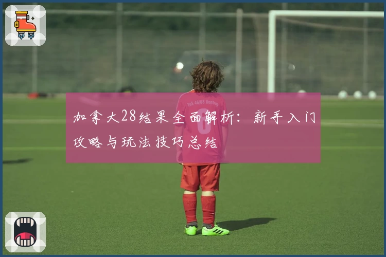 加拿大28结果全面解析：新手入门攻略与玩法技巧总结