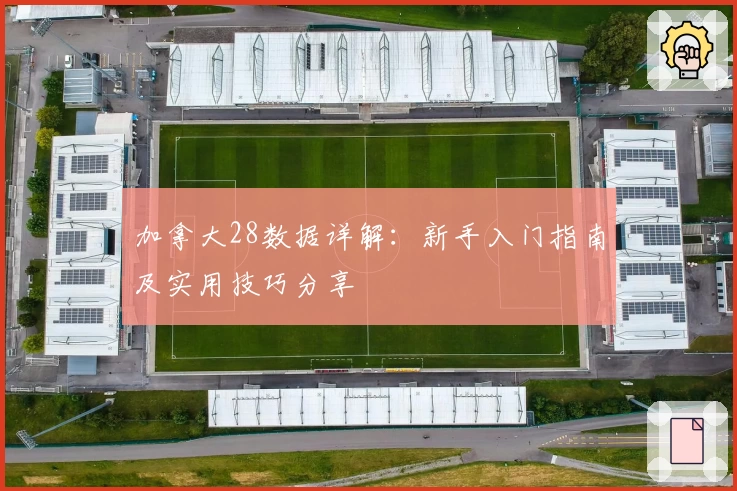 加拿大28数据详解:新手入门指南及实用技巧分享