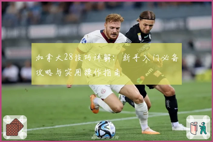 加拿大28技巧详解：新手入门必备攻略与实用操作指南