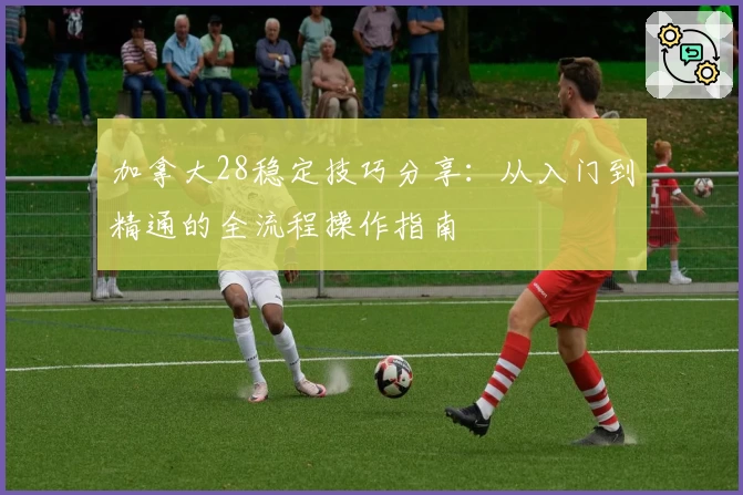 加拿大28稳定技巧分享：从入门到精通的全流程操作指南