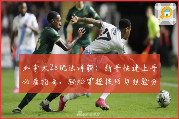 加拿大28玩法详解：新手快速上手必看指南，轻松掌握技巧与经验分享