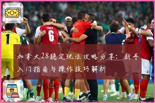 加拿大28稳定玩法攻略分享：新手入门指南与操作技巧解析