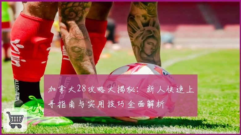 加拿大28攻略大揭秘：新人快速上手指南与实用技巧全面解析