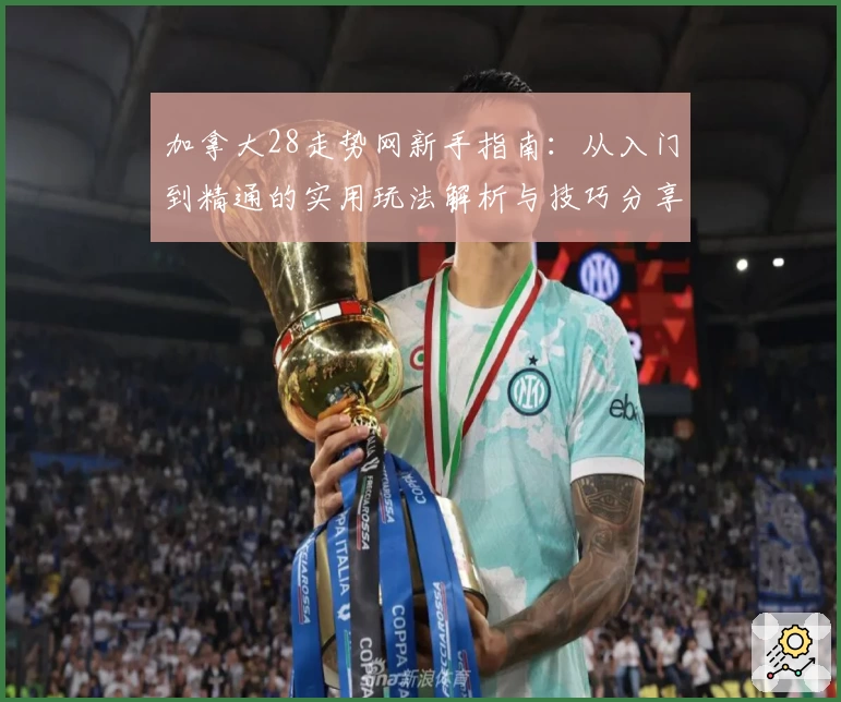 加拿大28走势网新手指南：从入门到精通的实用玩法解析与技巧分享