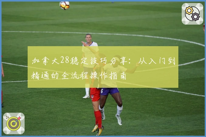 加拿大28稳定技巧分享：从入门到精通的全流程操作指南