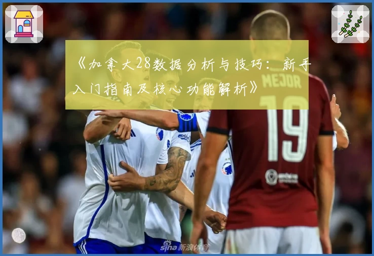 《加拿大28数据分析与技巧:新手入门指南及核心功能解析》