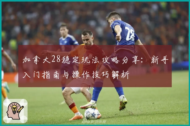 加拿大28稳定玩法攻略分享：新手入门指南与操作技巧解析