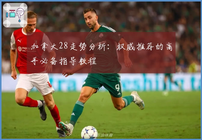 加拿大28走势分析：权威推荐的高手必备指导教程