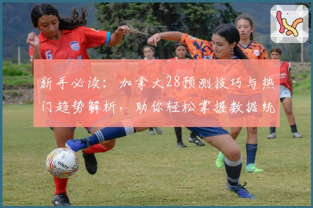 新手必读：加拿大28预测技巧与热门趋势解析，助你轻松掌握数据统计方法