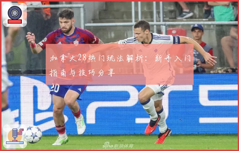 加拿大28热门玩法解析：新手入门指南与技巧分享