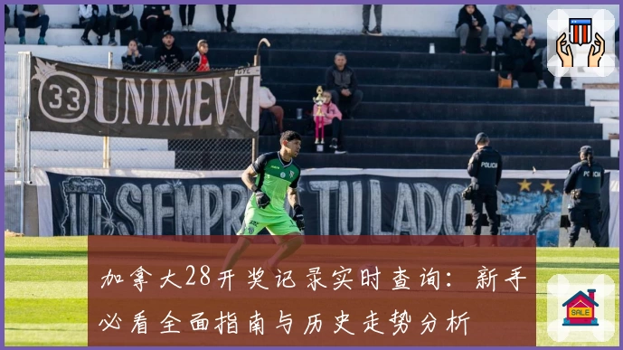 加拿大28开奖记录实时查询：新手必看全面指南与历史走势分析