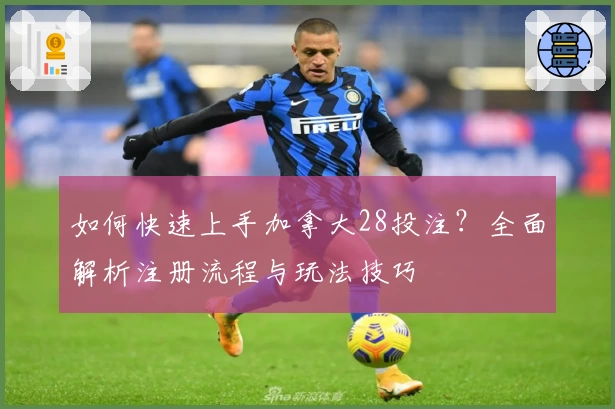 如何快速上手加拿大28投注？全面解析注册流程与玩法技巧