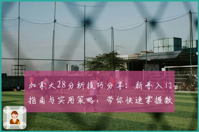加拿大28分析技巧分享:新手入门指南与实用策略,带你快速掌握数据规律