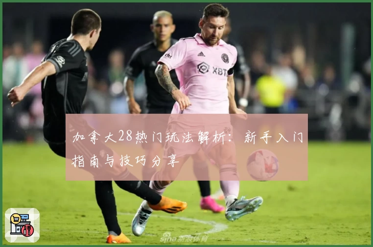 加拿大28热门玩法解析:新手入门指南与技巧分享