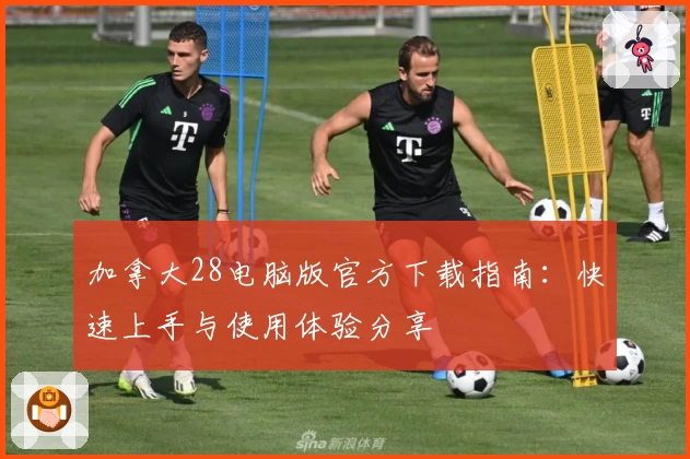 加拿大28电脑版官方下载指南：快速上手与使用体验分享