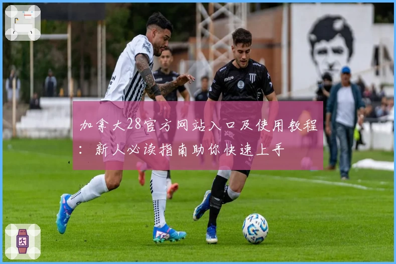 加拿大28官方网站入口及使用教程：新人必读指南助你快速上手