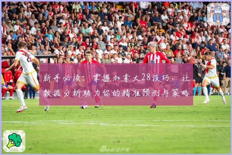 新手必读：掌握加拿大28技巧，让数据分析助力你的精准预测与策略优化