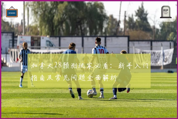 加拿大28预测玩家必看：新手入门指南及常见问题全面解析