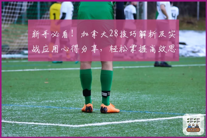 新手必看！加拿大28技巧解析及实战应用心得分享，轻松掌握高效思路