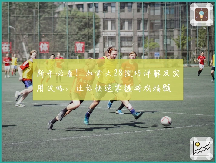 新手必看！加拿大28技巧详解及实用攻略，让你快速掌握游戏精髓