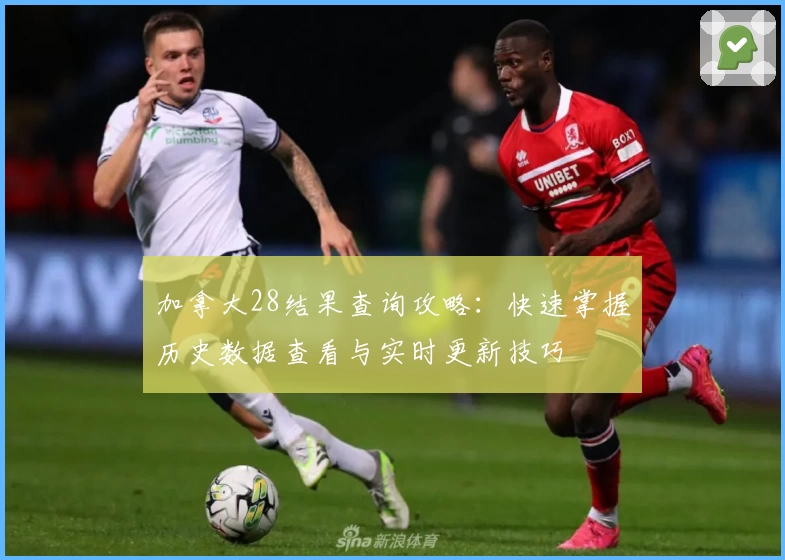 加拿大28结果查询攻略：快速掌握历史数据查看与实时更新技巧