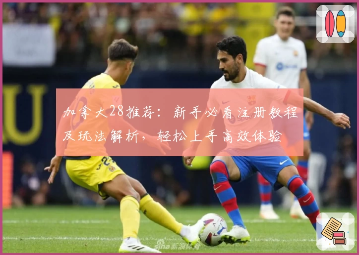 加拿大28推荐：新手必看注册教程及玩法解析，轻松上手高效体验