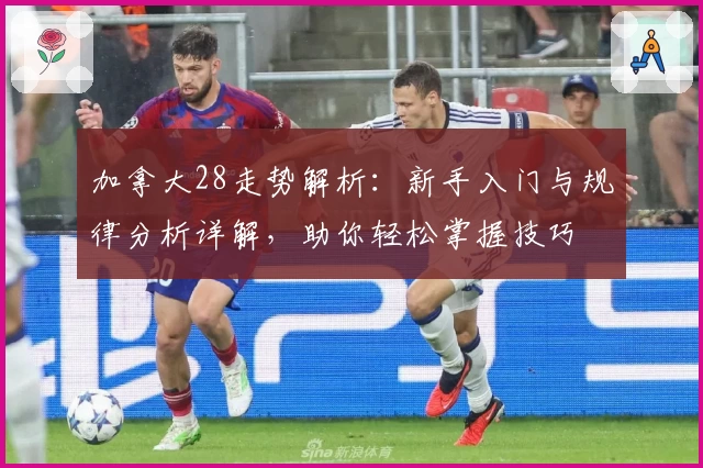 加拿大28走势解析:新手入门与规律分析详解,助你轻松掌握技巧