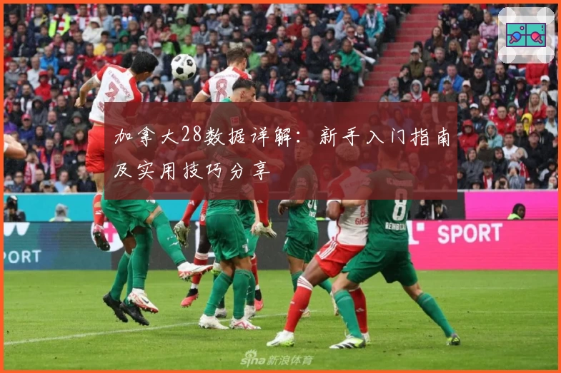 加拿大28数据详解：新手入门指南及实用技巧分享