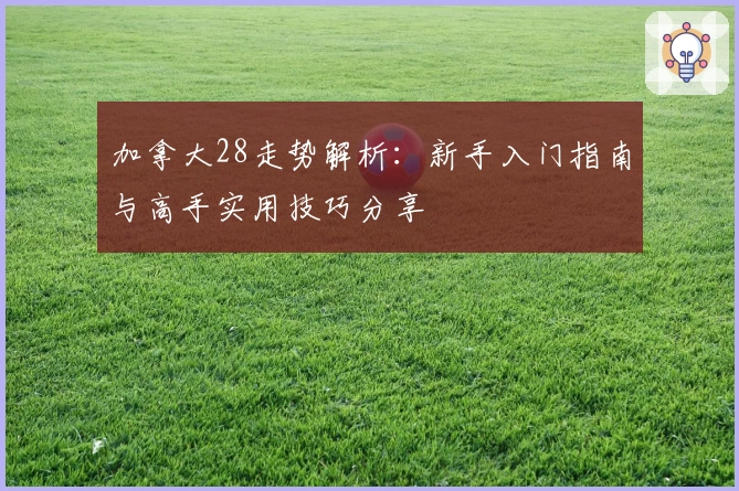 加拿大28走势解析：新手入门指南与高手实用技巧分享