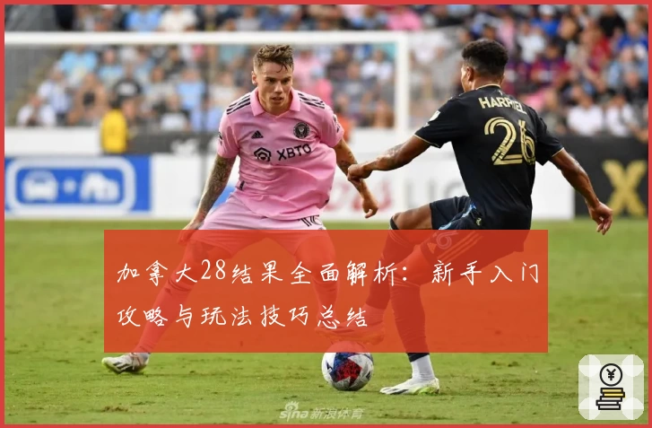 加拿大28结果全面解析：新手入门攻略与玩法技巧总结