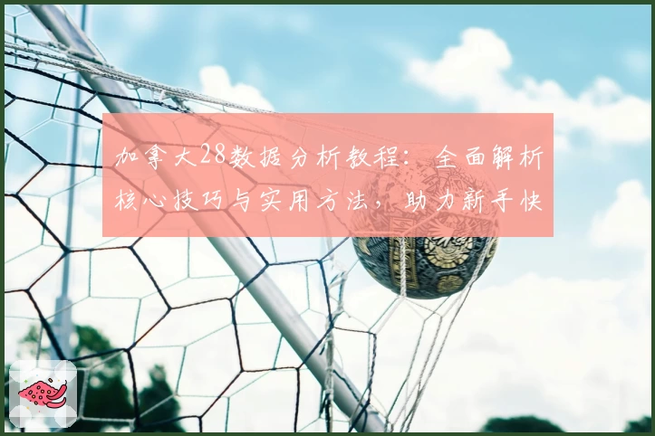 加拿大28数据分析教程：全面解析核心技巧与实用方法，助力新手快速上手
