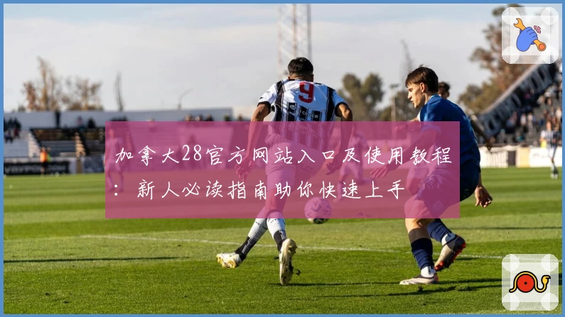 加拿大28官方网站入口及使用教程：新人必读指南助你快速上手