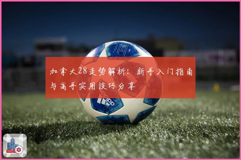 加拿大28走势解析：新手入门指南与高手实用技巧分享