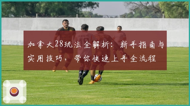 加拿大28玩法全解析：新手指南与实用技巧，带你快速上手全流程