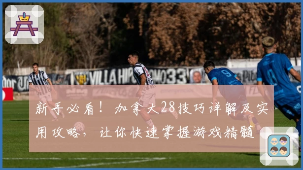 新手必看！加拿大28技巧详解及实用攻略，让你快速掌握游戏精髓