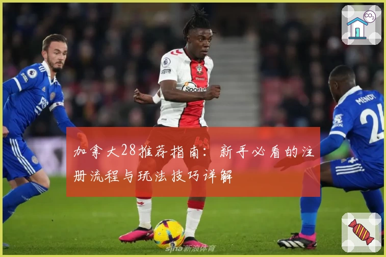 加拿大28推荐指南：新手必看的注册流程与玩法技巧详解