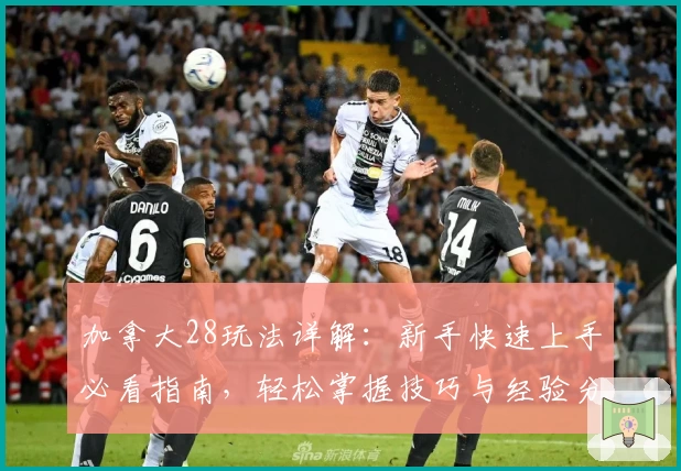 加拿大28玩法详解：新手快速上手必看指南，轻松掌握技巧与经验分享