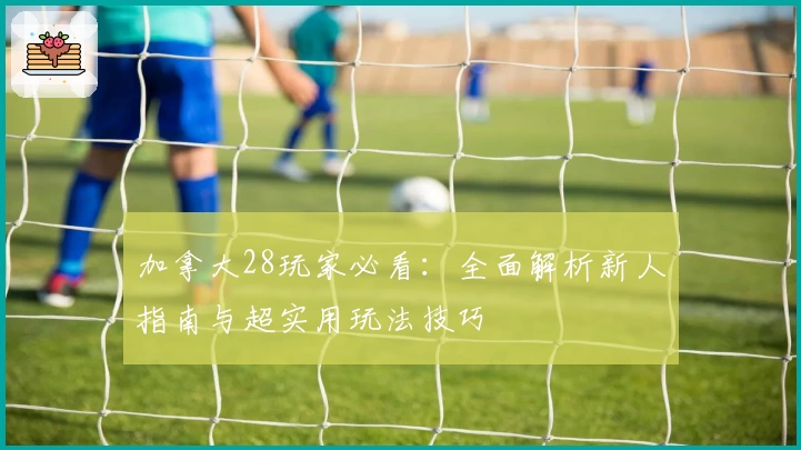 加拿大28玩家必看：全面解析新人指南与超实用玩法技巧