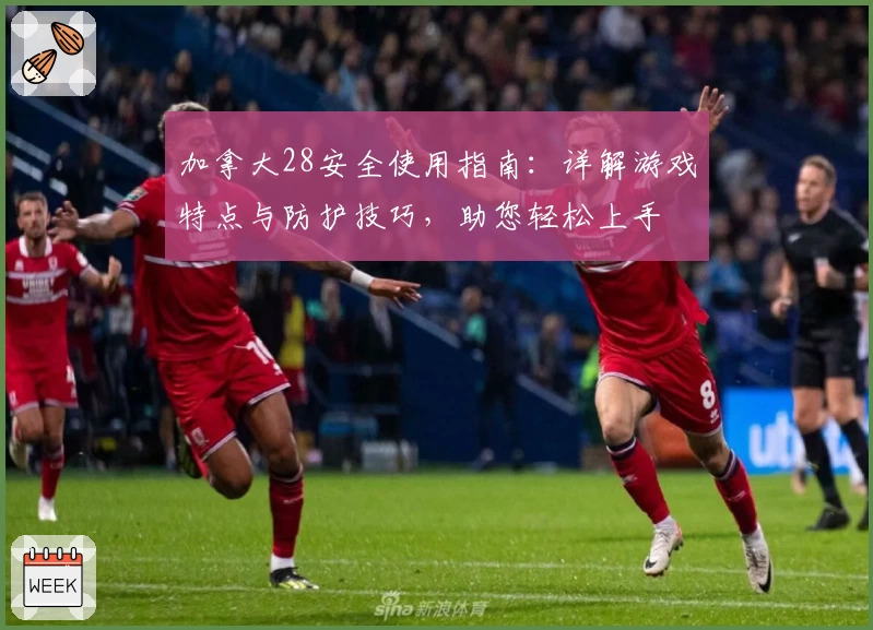 加拿大28安全使用指南：详解游戏特点与防护技巧，助您轻松上手