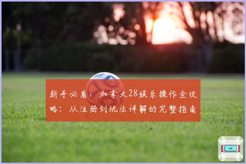 新手必看，加拿大28娱乐操作全攻略：从注册到玩法详解的完整指南