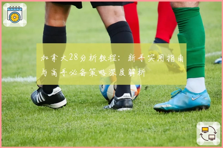 加拿大28分析教程：新手实用指南与高手必备策略深度解析