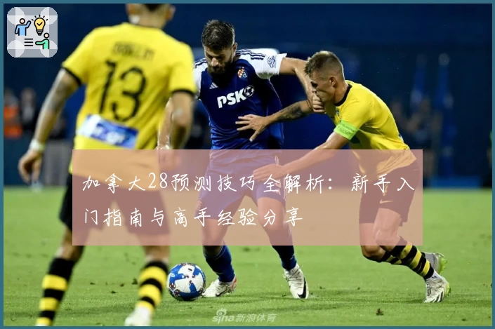 加拿大28预测技巧全解析：新手入门指南与高手经验分享