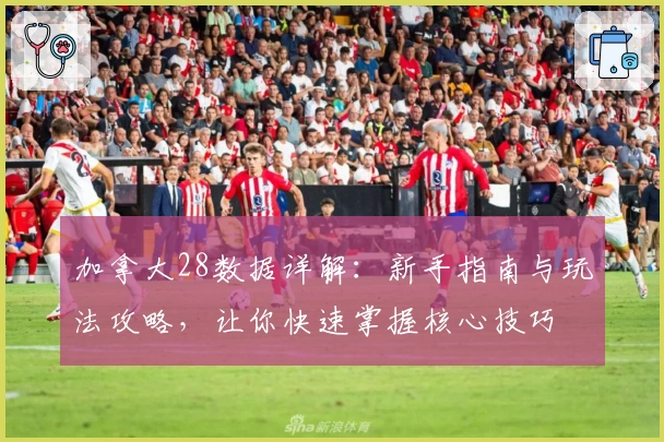 加拿大28数据详解：新手指南与玩法攻略，让你快速掌握核心技巧