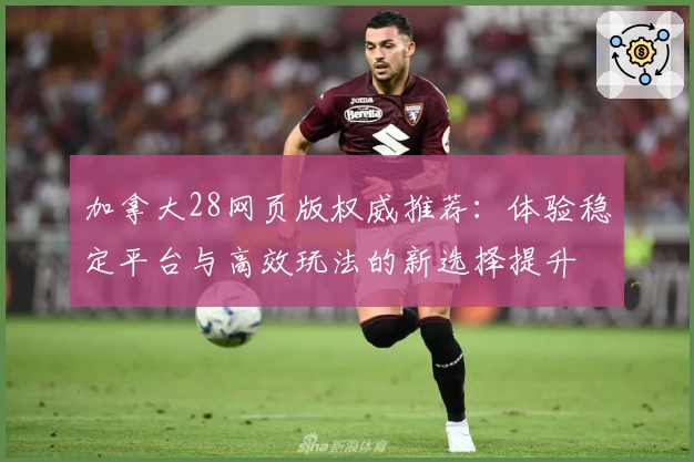 加拿大28网页版权威推荐：体验稳定平台与高效玩法的新选择提升