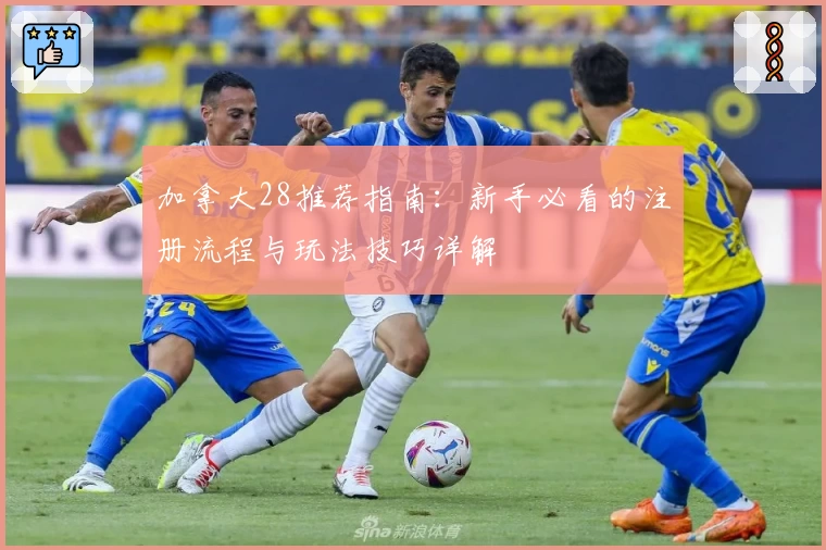 加拿大28推荐指南：新手必看的注册流程与玩法技巧详解