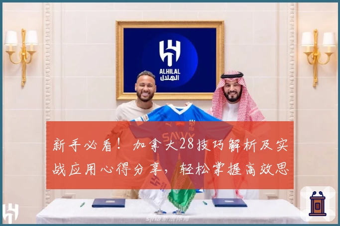 新手必看！加拿大28技巧解析及实战应用心得分享，轻松掌握高效思路