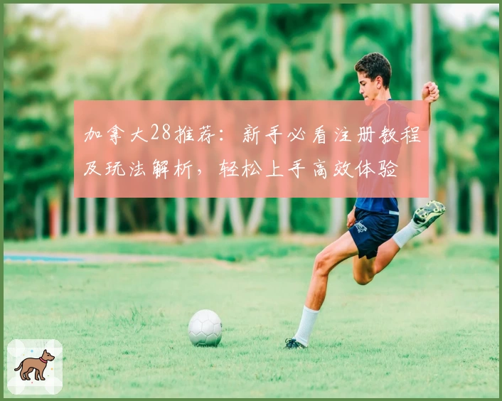 加拿大28推荐：新手必看注册教程及玩法解析，轻松上手高效体验
