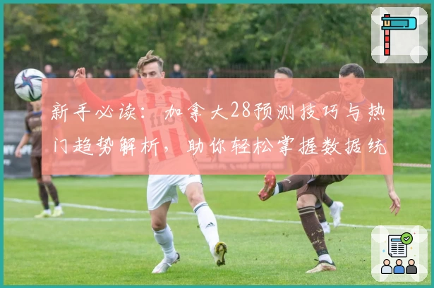 新手必读：加拿大28预测技巧与热门趋势解析，助你轻松掌握数据统计方法