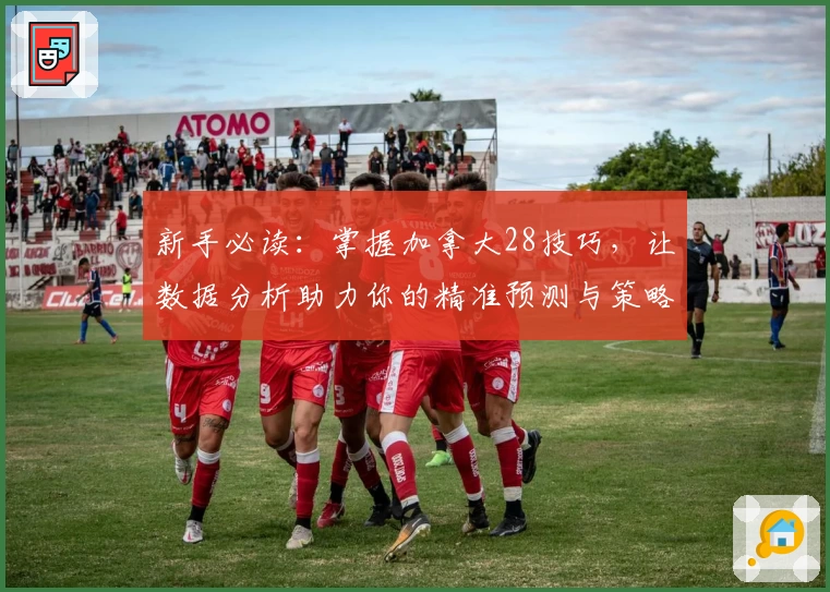 新手必读:掌握加拿大28技巧,让数据分析助力你的精准预测与策略优化